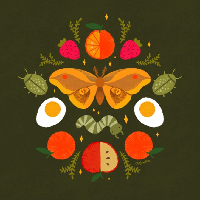 Moths, worms, apples, oranges and strawberries in a symmetrical layout